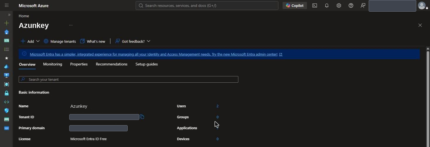 Azure-Portal: Microsoft Entra ID Uebersicht mit anonymisierter Tenant-ID und Domain